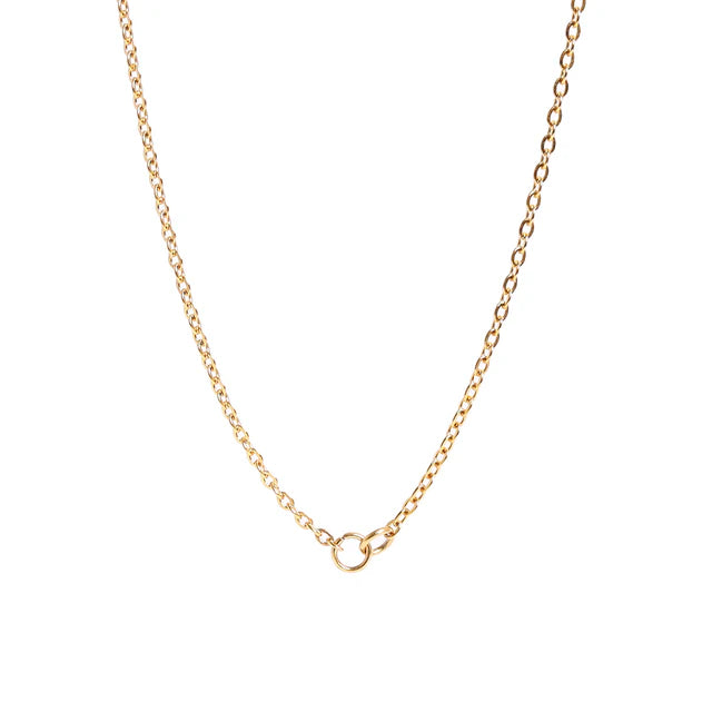 16+ 2" Signature Loop Chain
